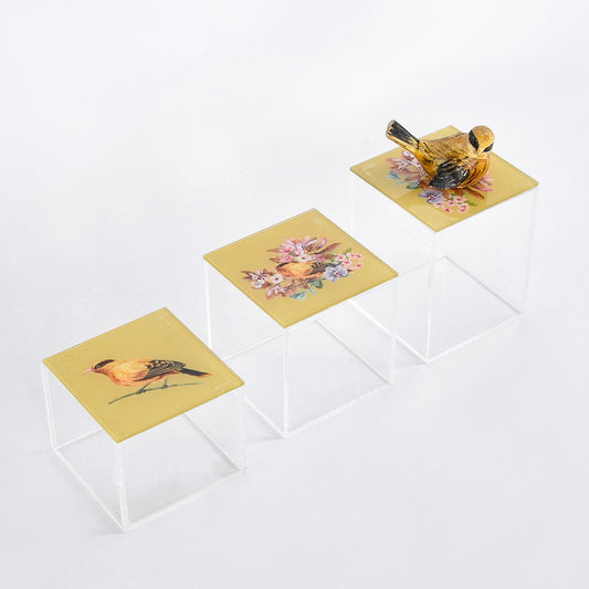 Autumn Bird Plexi Boxes Set of Three