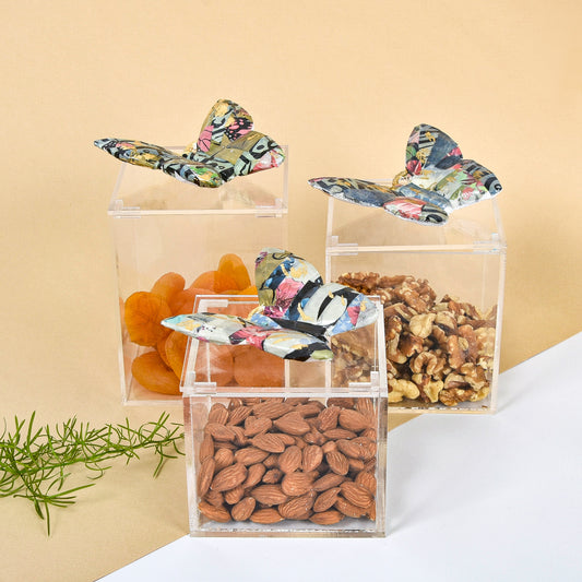 Collage Butterfly Plexi Boxes set of 3