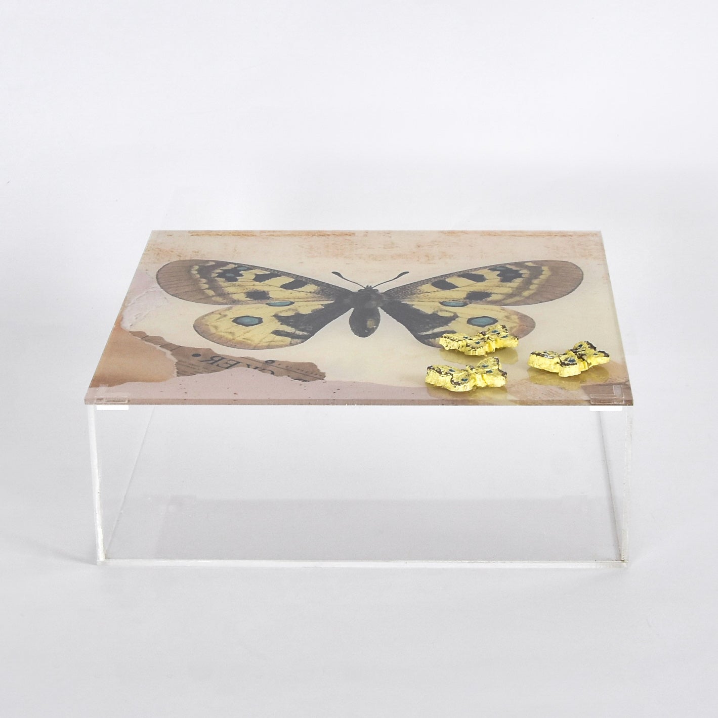 Autumn Butterfly Plexi Square Box