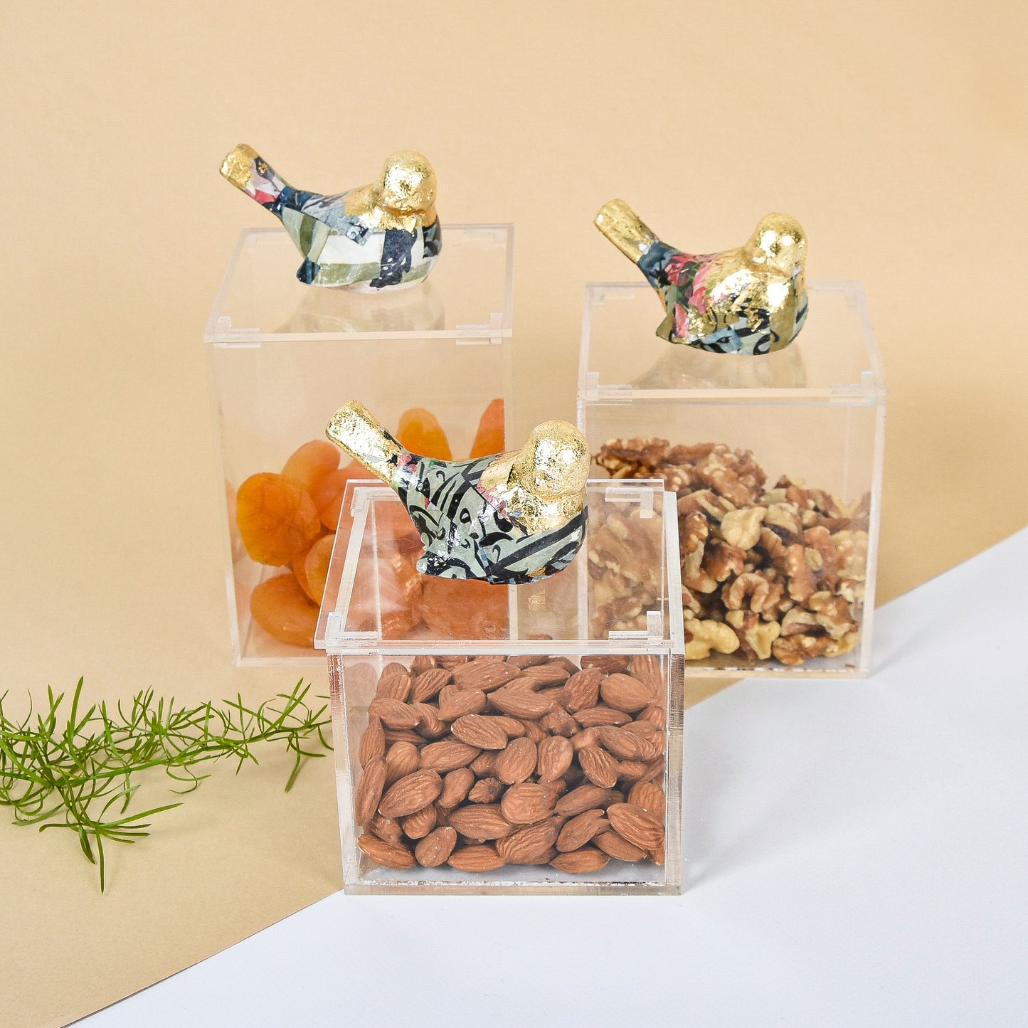 Collage Bird Plexi Boxes set of 3