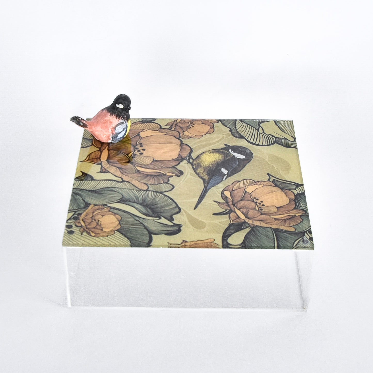 Brown Bird Plexi Square Box