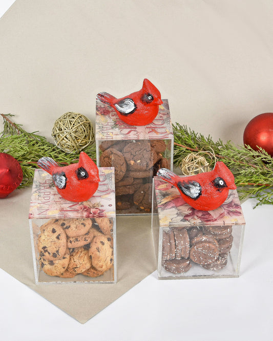 Red Christmas Bird Boxes Set of 3 10X10X10CM 10X10X8CM 10X10X12CM